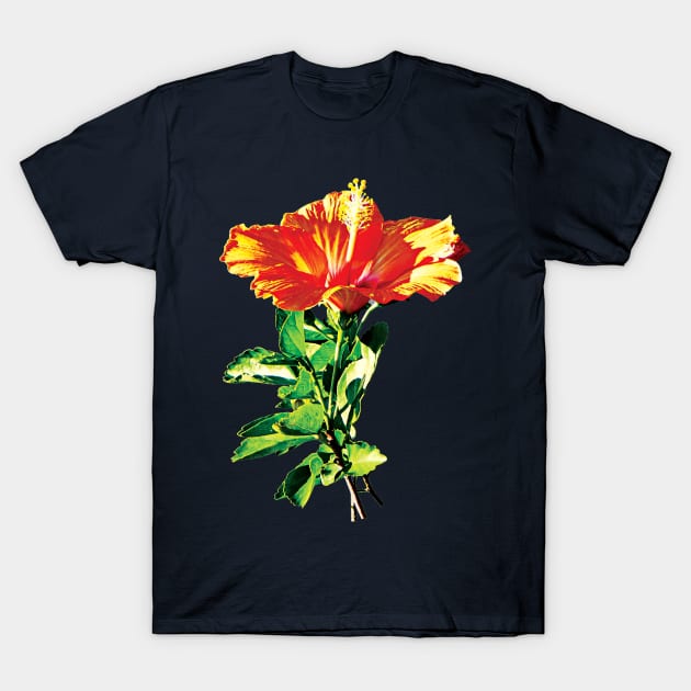 Hibiscus - Orange Hibiscus T-Shirt by SusanSavad